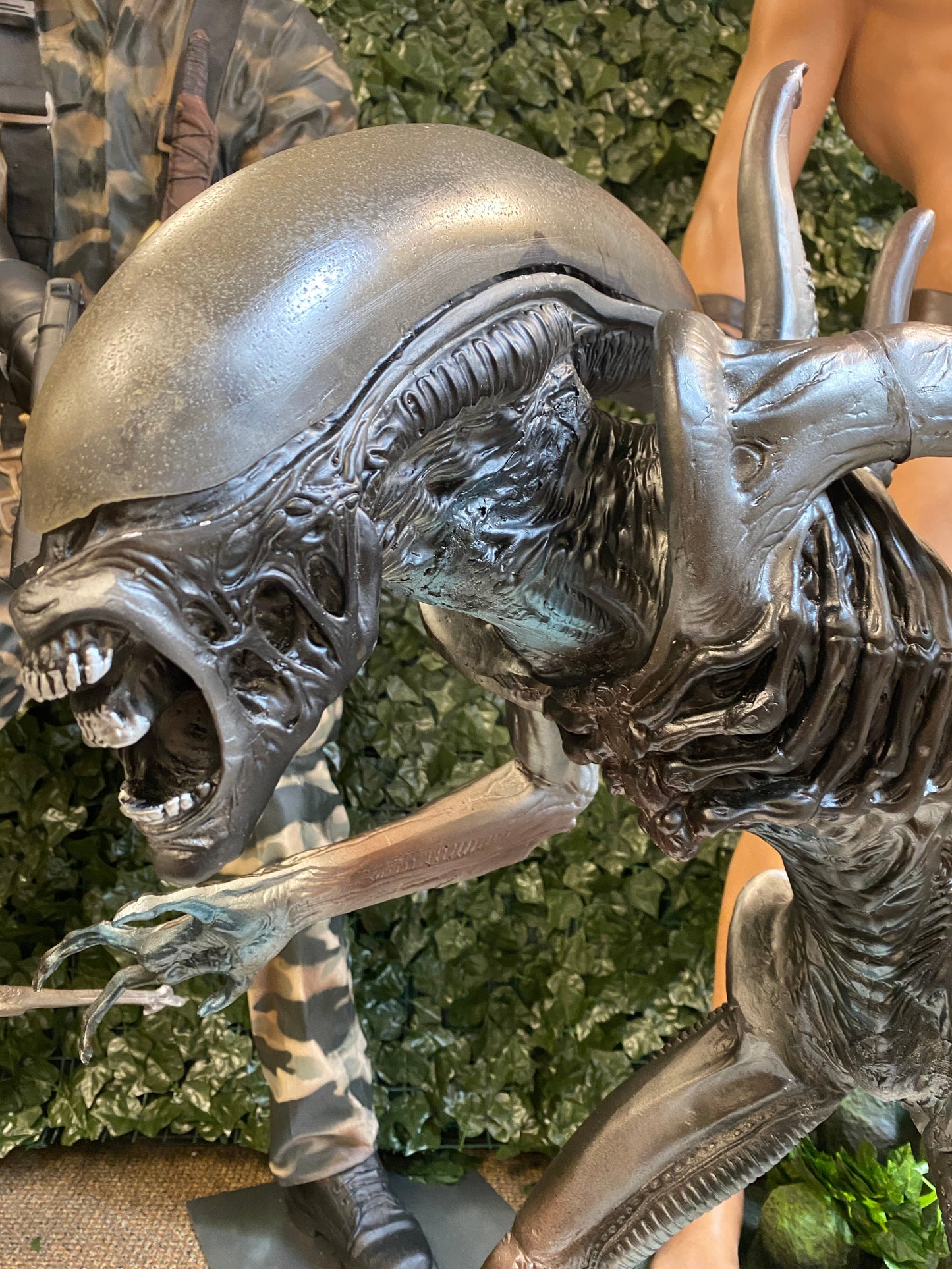 Alien vs Predator 1/2 Scale Pre-Owned Statue - LM Treasures 